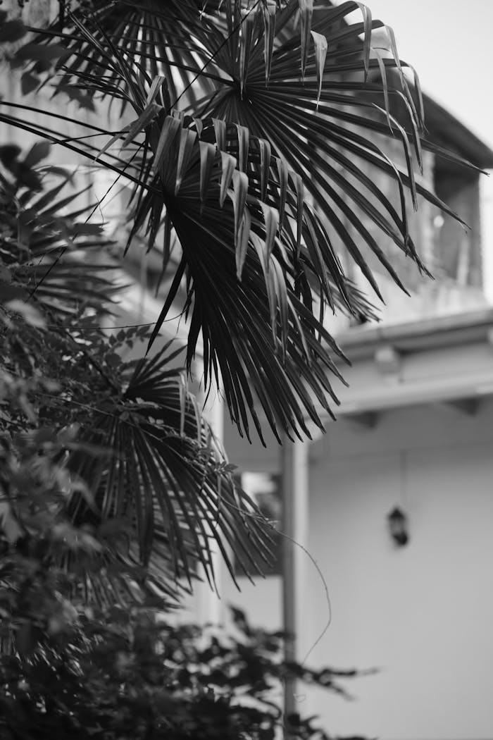 Cozy Twilight: Plants Spill Into the Room from an Open Window